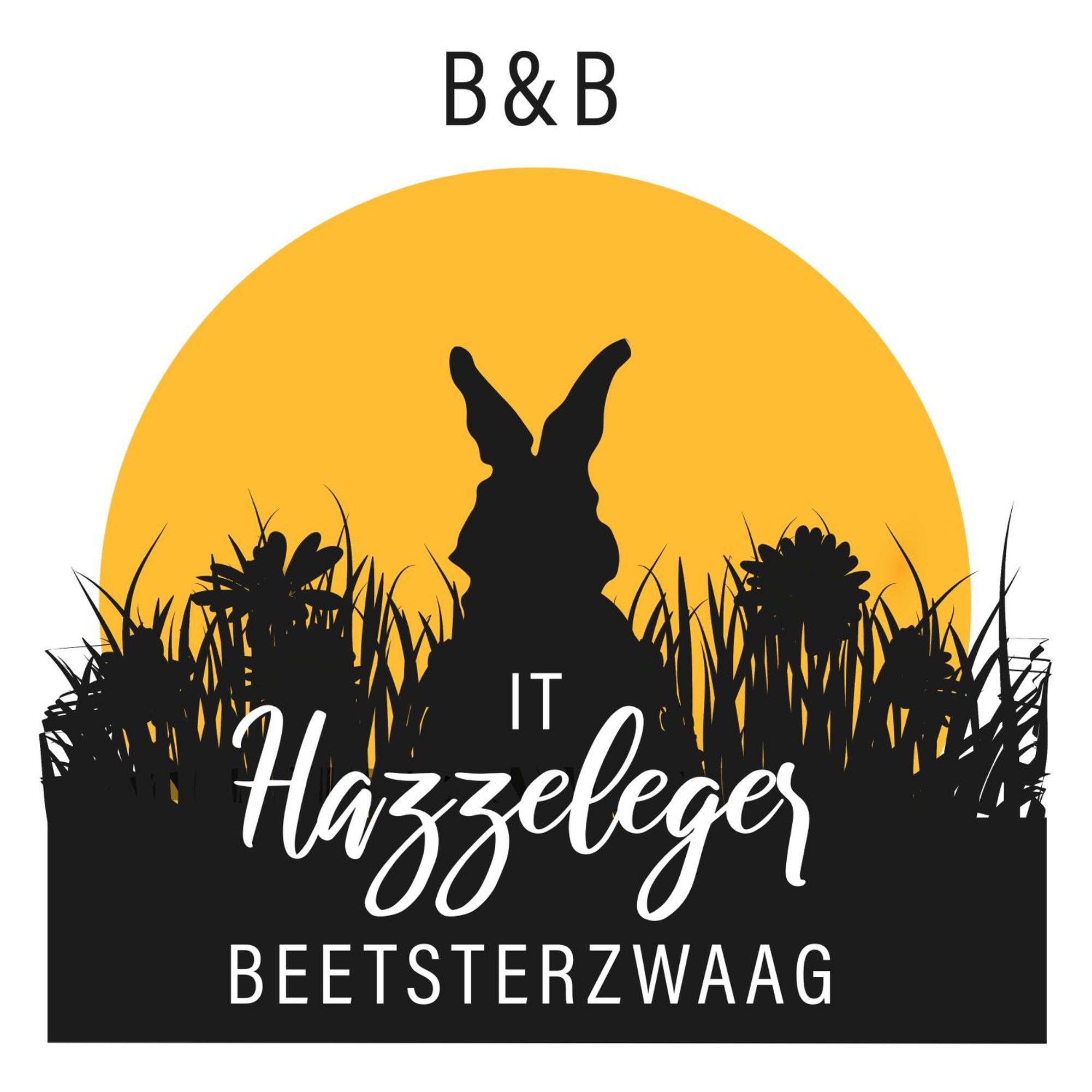 BnB It Hazzeleger Beetsterzwaag Kamer foto